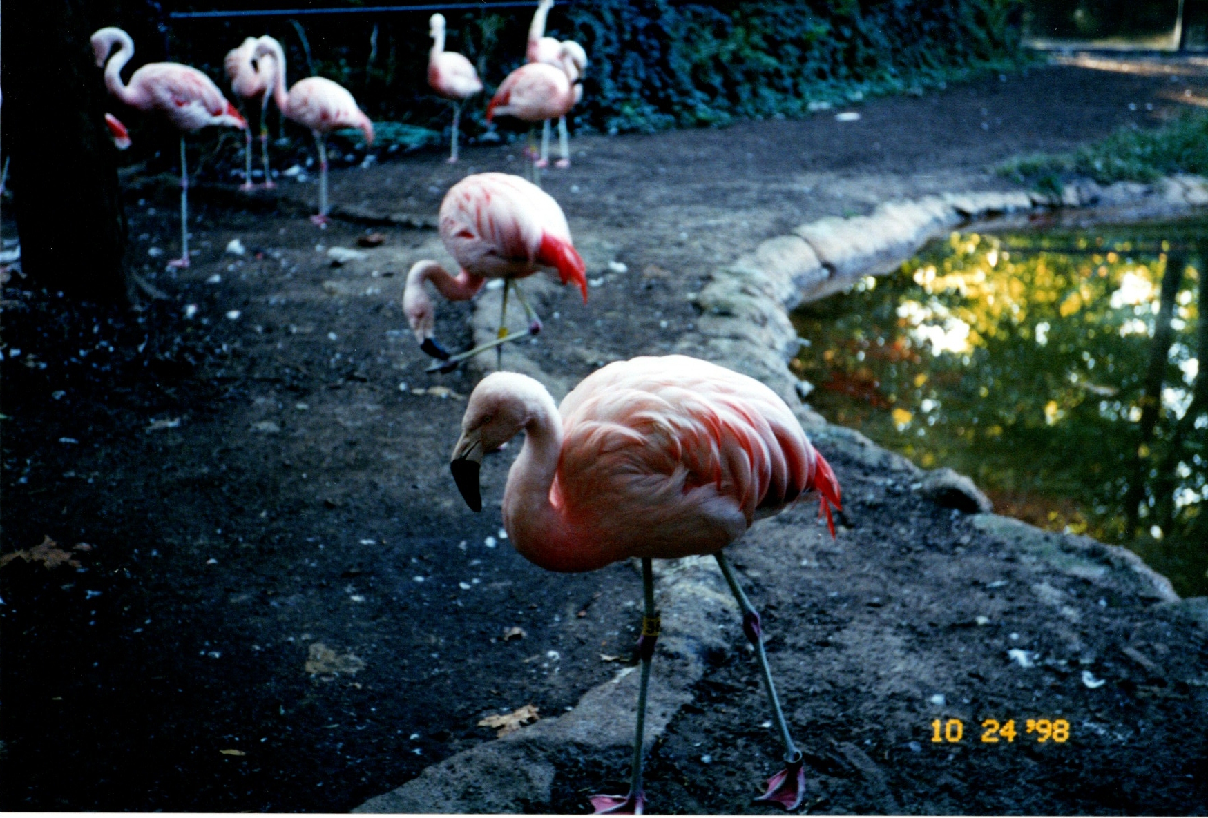 ./1998/18 - October/img06272020_752.jpg